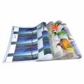 pegatinas de transferencia de calor de plastisol para la camiseta 