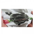 Venta al por mayor de diseños personalizados de alta calidad, transferencias de calcomanías de plastisol, impresión por transferencia térmica para camisetas. 
